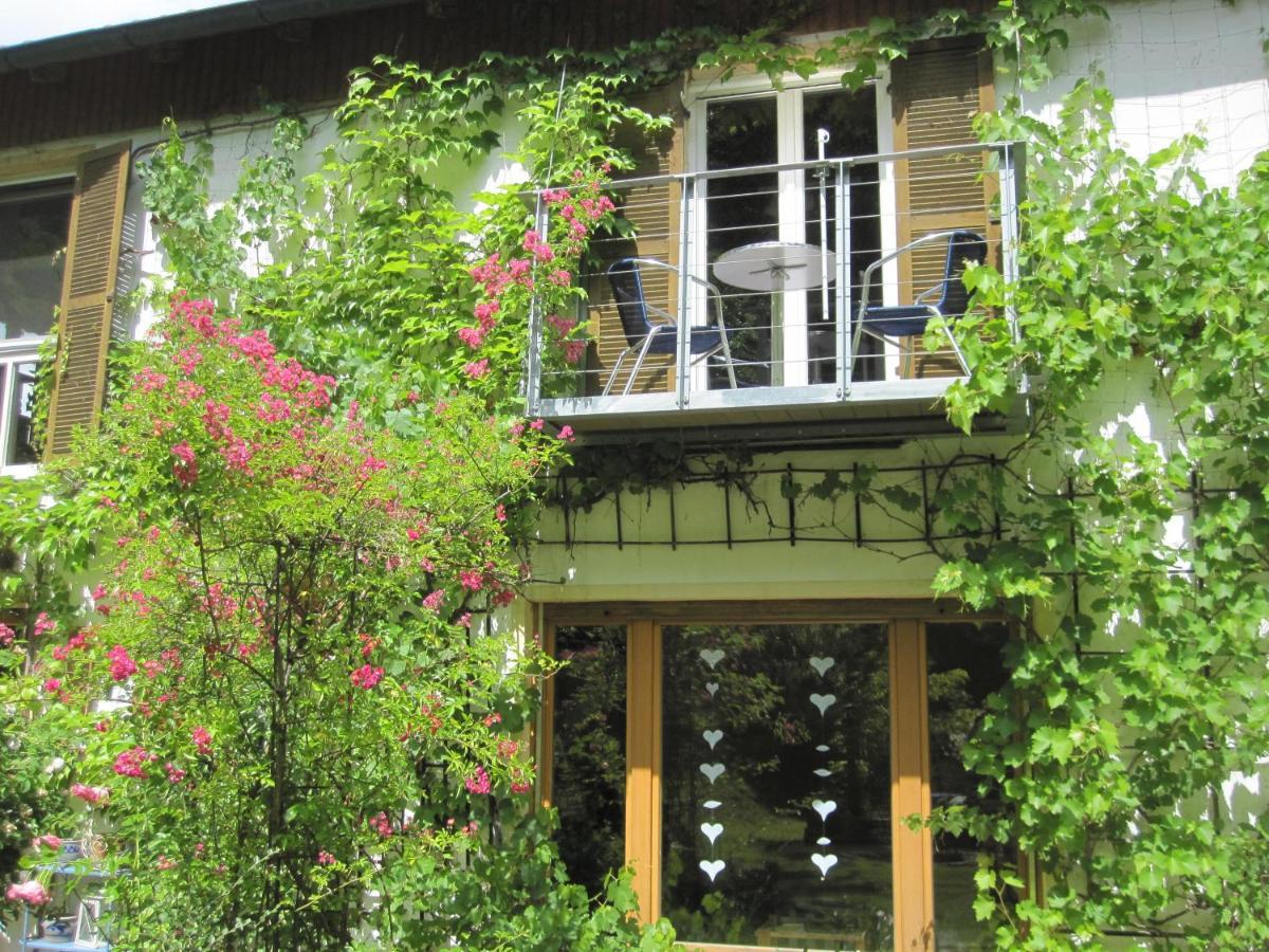 Ferienwohnungen Blaetterrausch Schwandorf Zewnętrze zdjęcie