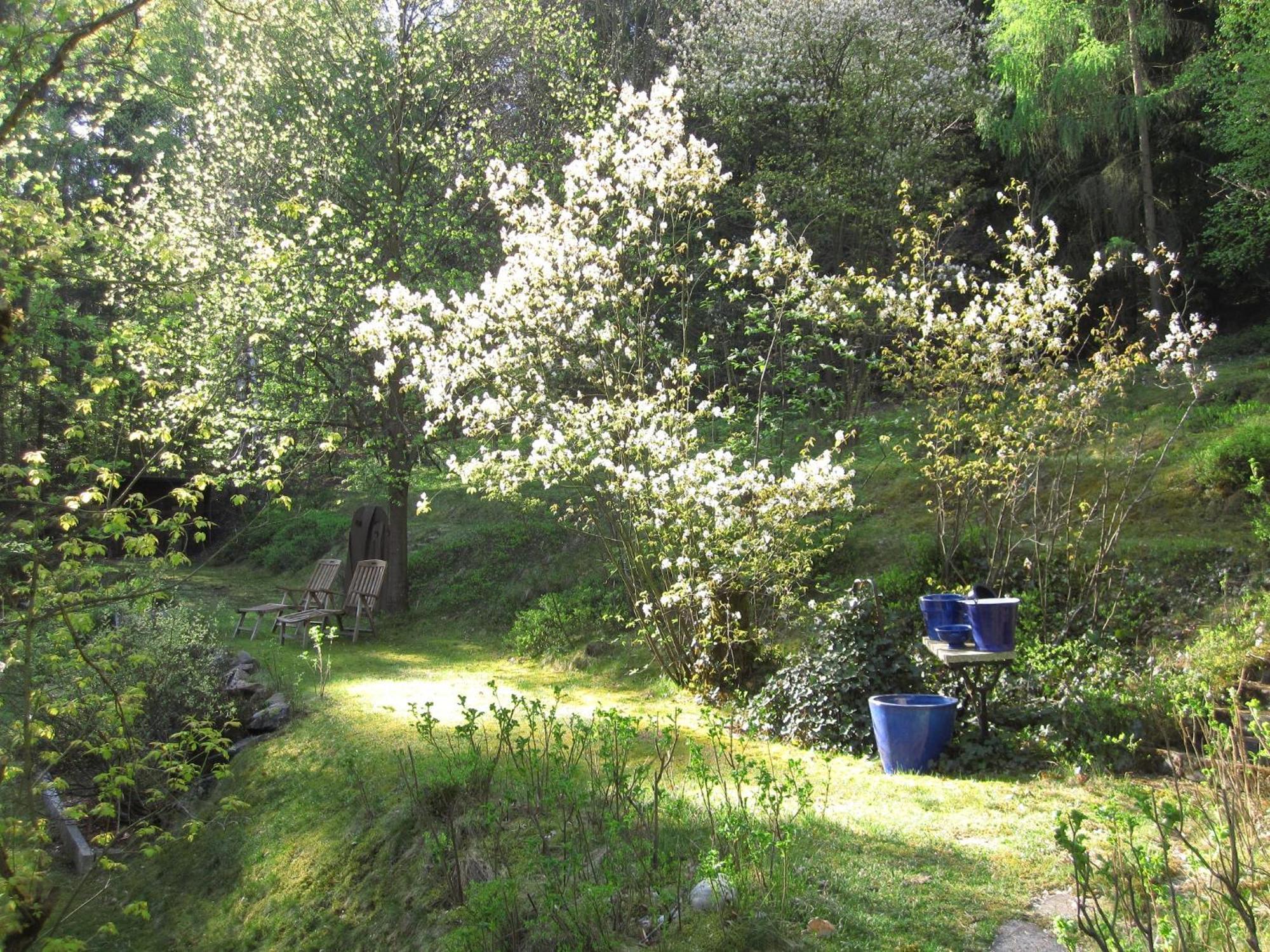 Ferienwohnungen Blaetterrausch Schwandorf Zewnętrze zdjęcie