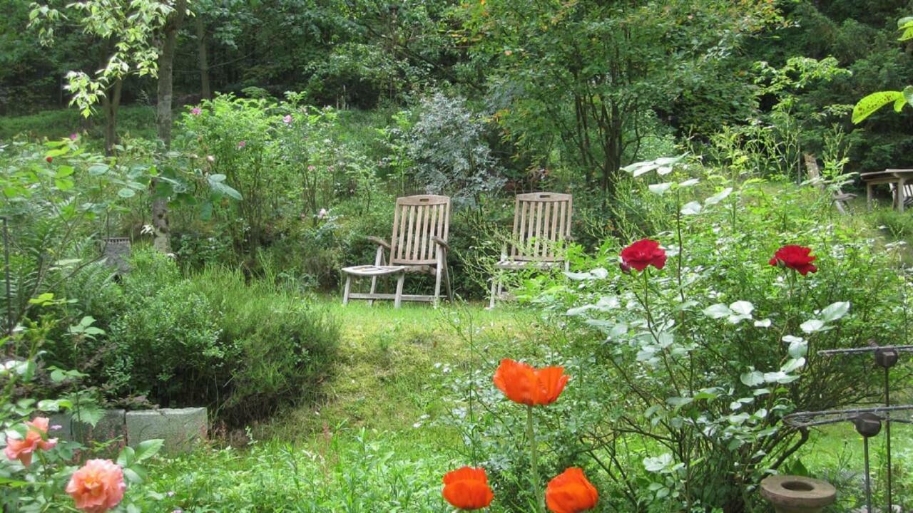 Ferienwohnungen Blaetterrausch Schwandorf Zewnętrze zdjęcie