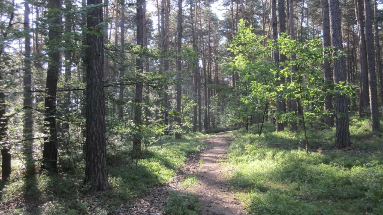 Ferienwohnungen Blaetterrausch Schwandorf Zewnętrze zdjęcie
